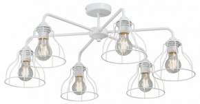 Люстра на штанге Vitaluce V3102 V3102-0/6PL в Камышлове - kamyshlov.mebel24.online | фото