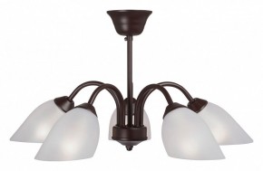 Люстра на штанге Vitaluce V3335 V3335-7/5PL в Камышлове - kamyshlov.mebel24.online | фото