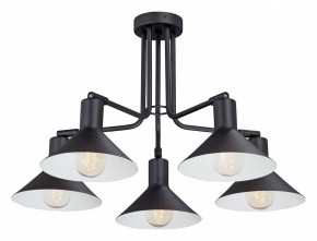 Люстра на штанге Vitaluce V4809 V4809-1/5PL в Камышлове - kamyshlov.mebel24.online | фото