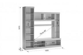 МАКСИ К1 Стенка для гостиной дуб сонома/белое дерево в Камышлове - kamyshlov.mebel24.online | фото 1
