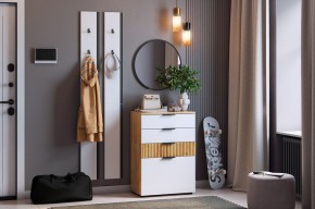 МЕБЕЛЬСОН К21 Прихожая в Камышлове - kamyshlov.mebel24.online | фото