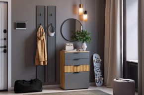 МЕБЕЛЬСОН К21 Прихожая  (графит) в Камышлове - kamyshlov.mebel24.online | фото