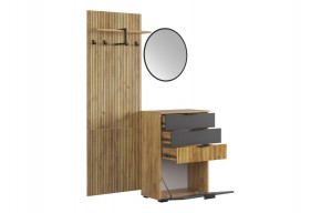 МЕБЕЛЬСОН К3 Прихожая в Камышлове - kamyshlov.mebel24.online | фото 12