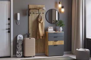 МЕБЕЛЬСОН К3 Прихожая (графит) в Камышлове - kamyshlov.mebel24.online | фото