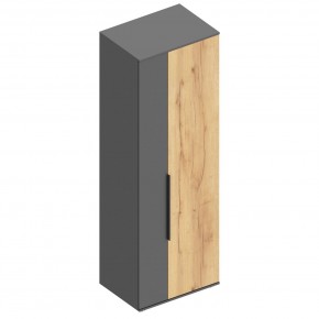 МОНИКА Шкаф для одежды в Камышлове - kamyshlov.mebel24.online | фото 3