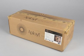 Накладной светильник Aployt Milunia APL.050.01.10 в Камышлове - kamyshlov.mebel24.online | фото 8