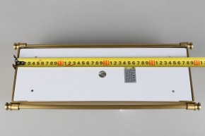 Накладной светильник Aployt Zoe APL.806.01.02 в Камышлове - kamyshlov.mebel24.online | фото 9