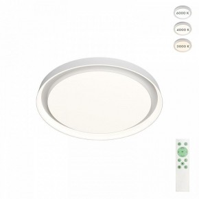 Накладной светильник Denkirs Cany DK6516-WH в Камышлове - kamyshlov.mebel24.online | фото 3