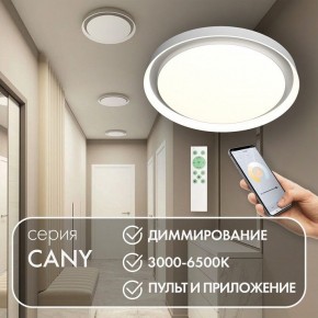 Накладной светильник Denkirs Cany DK6516-WH в Камышлове - kamyshlov.mebel24.online | фото 4