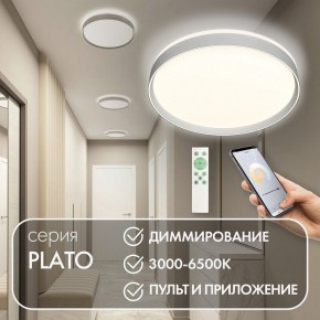Накладной светильник Denkirs PLATO DK6511-WH/1 в Камышлове - kamyshlov.mebel24.online | фото 4