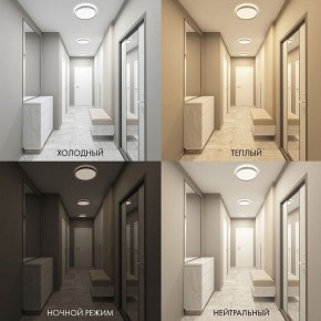 Накладной светильник Denkirs PLATO DK6511-WH/1 в Камышлове - kamyshlov.mebel24.online | фото 5