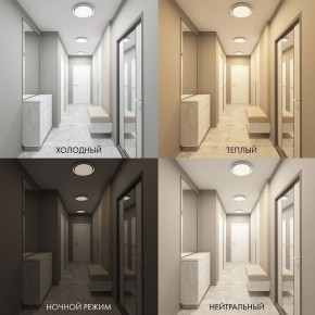 Накладной светильник Denkirs Cany DK6516-WH в Камышлове - kamyshlov.mebel24.online | фото 4