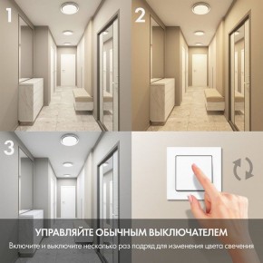 Накладной светильник Denkirs Cany DK6516-WH в Камышлове - kamyshlov.mebel24.online | фото 6
