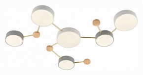 Накладной светильник EVOLUCE Dossena SLE600102-06 в Камышлове - kamyshlov.mebel24.online | фото 3