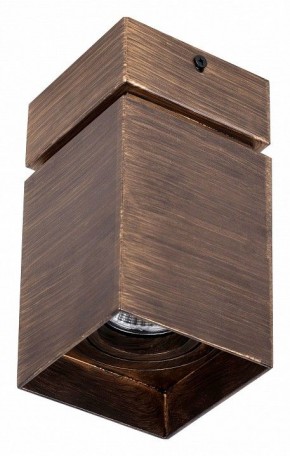 Накладной светильник Favourite Retro 2794-1U в Камышлове - kamyshlov.mebel24.online | фото 2