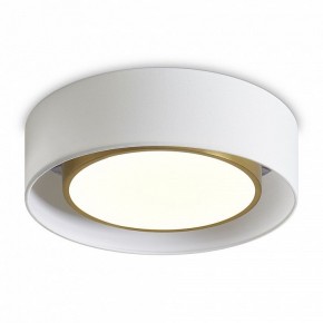 Накладной светильник Freya Cozy FR6170CL-L52BS в Камышлове - kamyshlov.mebel24.online | фото 2