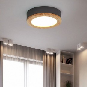 Накладной светильник Imperiumloft Wudda Серый WUDDA01 в Камышлове - kamyshlov.mebel24.online | фото 4