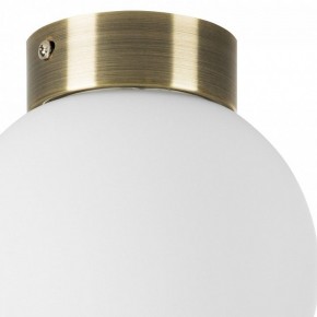 Накладной светильник Lightstar Globo 812011 в Камышлове - kamyshlov.mebel24.online | фото 3