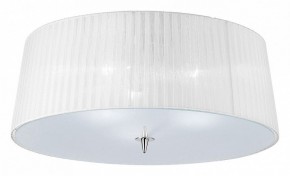 Накладной светильник Mantra Loewe 4640 в Камышлове - kamyshlov.mebel24.online | фото 1