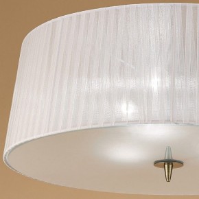 Накладной светильник Mantra Loewe 4740 в Камышлове - kamyshlov.mebel24.online | фото 3