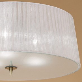 Накладной светильник Mantra Loewe 4740 в Камышлове - kamyshlov.mebel24.online | фото 4