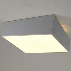 Накладной светильник Mantra Mini 6163 в Камышлове - kamyshlov.mebel24.online | фото 2