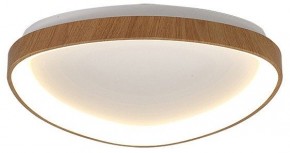 Накладной светильник Mantra Niseko 8632 в Камышлове - kamyshlov.mebel24.online | фото