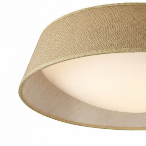 Накладной светильник Mantra Sabina 6413 в Камышлове - kamyshlov.mebel24.online | фото 2