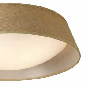 Накладной светильник Mantra Sabina 6413 в Камышлове - kamyshlov.mebel24.online | фото 3