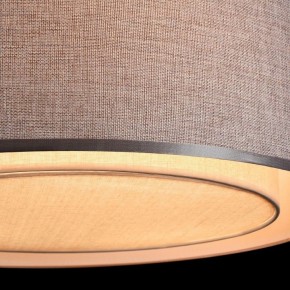 Накладной светильник Maytoni Bergamo MOD613CL-04GR в Камышлове - kamyshlov.mebel24.online | фото 10