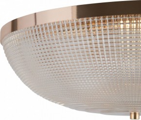 Накладной светильник Maytoni Coupe C046CL-06G в Камышлове - kamyshlov.mebel24.online | фото