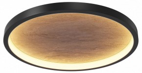 Накладной светильник Maytoni Orign MOD311CL-L40B3K в Камышлове - kamyshlov.mebel24.online | фото