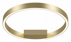 Накладной светильник Maytoni Rim MOD058CL-L25BSK в Камышлове - kamyshlov.mebel24.online | фото 2