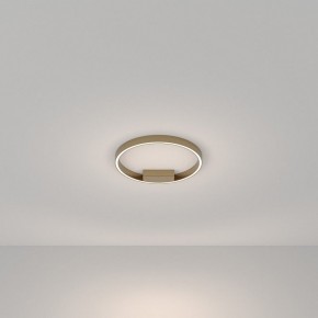 Накладной светильник Maytoni Rim MOD058CL-L25BSK в Камышлове - kamyshlov.mebel24.online | фото 3