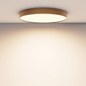 Накладной светильник Maytoni Zon C032CL-90W3K-RD-MG в Камышлове - kamyshlov.mebel24.online | фото 4