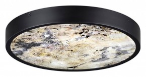 Накладной светильник Odeon Light Bergi 5064/30L в Камышлове - kamyshlov.mebel24.online | фото 4