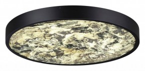 Накладной светильник Odeon Light Bergi 5064/40L в Камышлове - kamyshlov.mebel24.online | фото 3