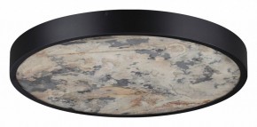 Накладной светильник Odeon Light Bergi 5064/40L в Камышлове - kamyshlov.mebel24.online | фото 6