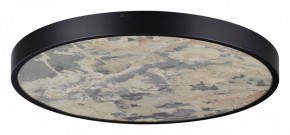 Накладной светильник Odeon Light Bergi 5064/50L в Камышлове - kamyshlov.mebel24.online | фото 3