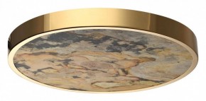 Накладной светильник Odeon Light Bergi 5079/40L в Камышлове - kamyshlov.mebel24.online | фото 4