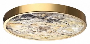 Накладной светильник Odeon Light Bergi 5079/40L в Камышлове - kamyshlov.mebel24.online | фото 6