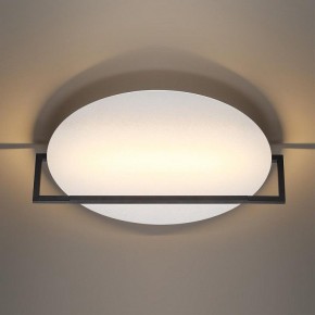 Накладной светильник Odeon Light Next 7015/20WL в Камышлове - kamyshlov.mebel24.online | фото 2