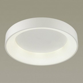Накладной светильник Odeon Light Sole 4062/50CL в Камышлове - kamyshlov.mebel24.online | фото 2