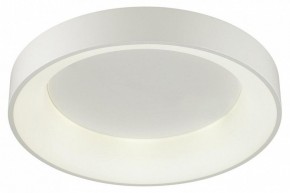 Накладной светильник Odeon Light Sole 4062/50CL в Камышлове - kamyshlov.mebel24.online | фото 3