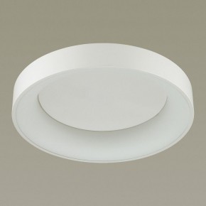 Накладной светильник Odeon Light Sole 4062/50CL в Камышлове - kamyshlov.mebel24.online | фото 4
