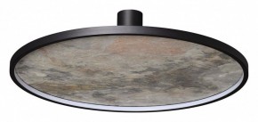 Накладной светильник Odeon Light Stoflake 5078/55L в Камышлове - kamyshlov.mebel24.online | фото 4