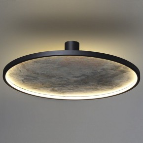 Накладной светильник Odeon Light Stoflake 5078/55L в Камышлове - kamyshlov.mebel24.online | фото 8