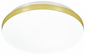 Накладной светильник Sonex Smalli 3066/CL в Камышлове - kamyshlov.mebel24.online | фото 6