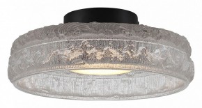 Накладной светильник ST-Luce ANTIKE SL6143.402.01 в Камышлове - kamyshlov.mebel24.online | фото 2