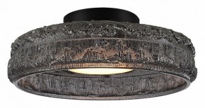 Накладной светильник ST-Luce ANTIKE SL6143.412.01 в Камышлове - kamyshlov.mebel24.online | фото 2